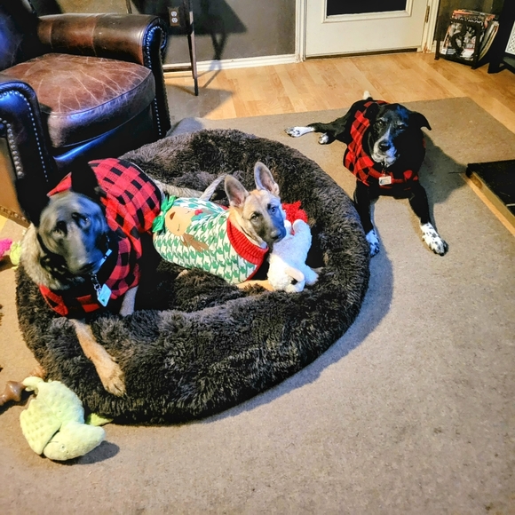 Meet your Posher, Michelle - Picture 11 of 12